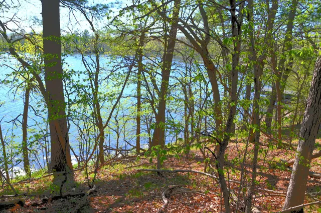 $35,000 | 40039 County Road 17, Browerville, MN 56438