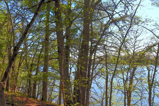 $35,000 | 40039 County Road 17, Browerville, MN 56438