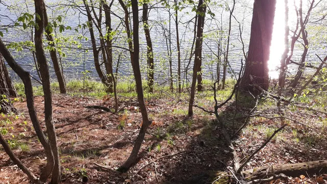 $35,000 | 40039 County Road 17, Browerville, MN 56438