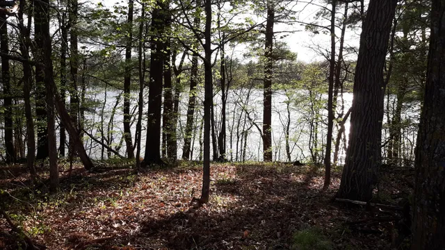 $35,000 | 40039 County Road 17, Browerville, MN 56438