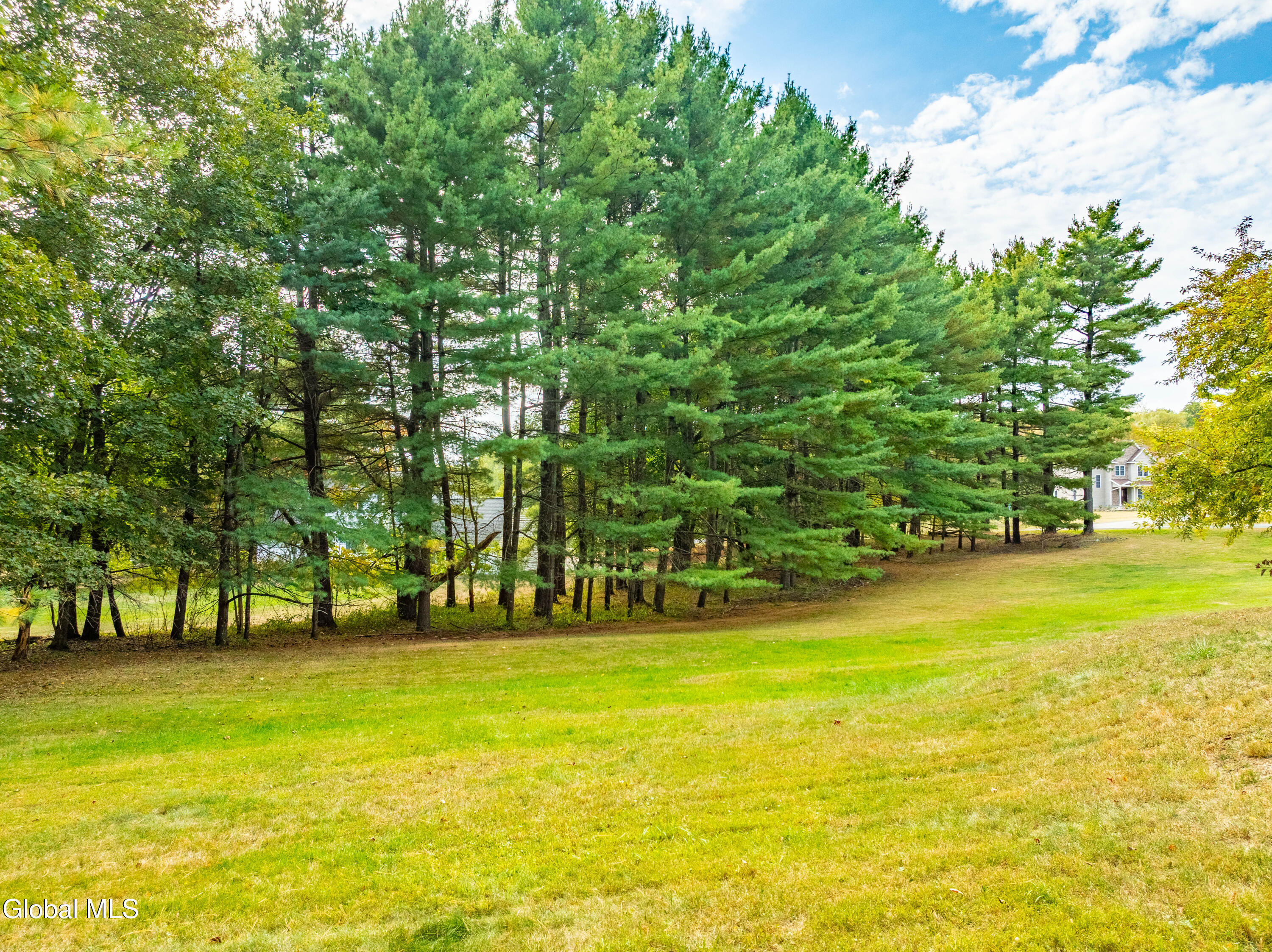 90 Waters Road Schodack, NY 12061 - Photo 28 of 36 DJI_0968-HDR
