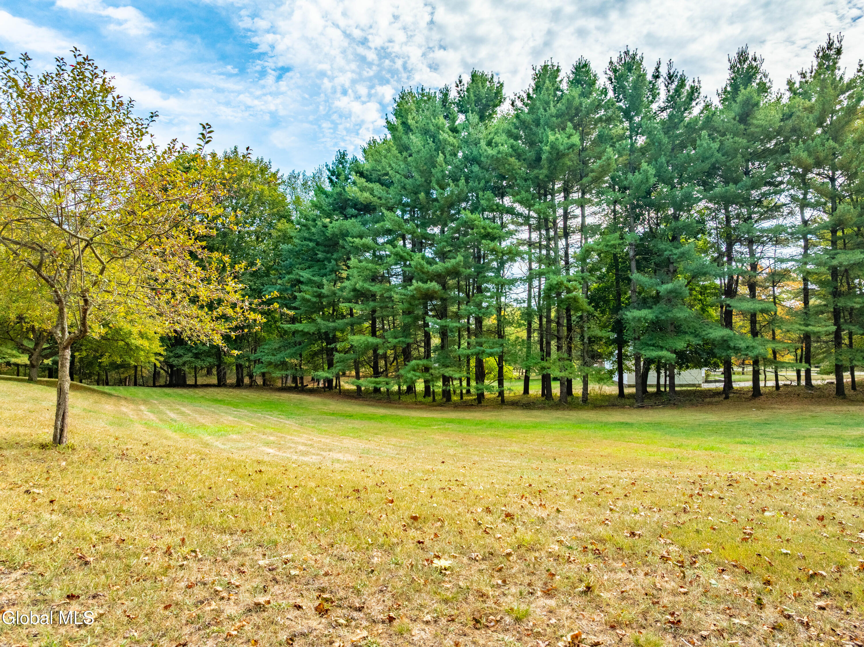90 Waters Road Schodack, NY 12061 - Photo 31 of 36 DJI_0983-HDR