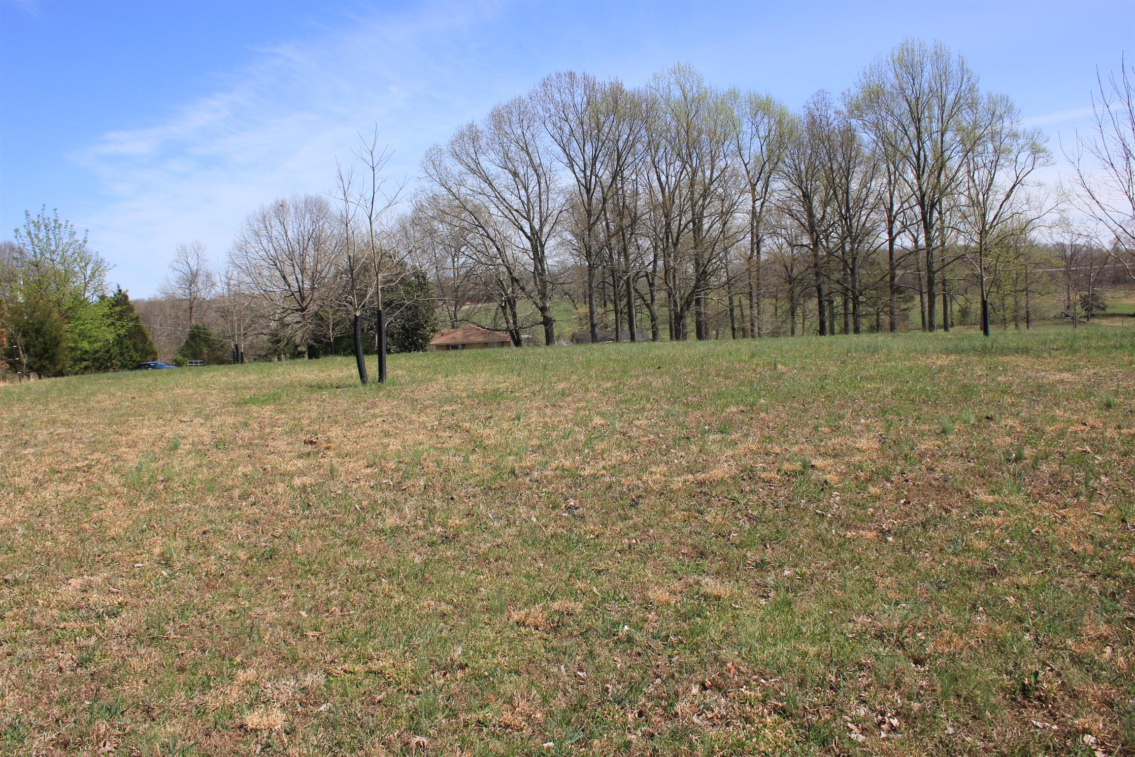 1837 Greenbriar Road Waverly, TN 37185 - Photo 7 of 7 a view of field with trees in background