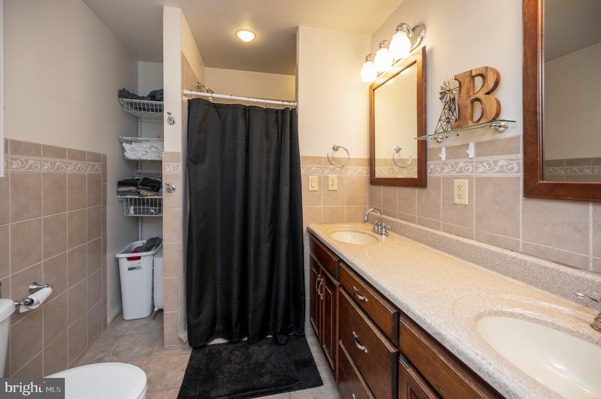 23202 Village Road Unionville, VA 22567 - Photo 34 of 58 a bathroom with a sink a toilet and shower