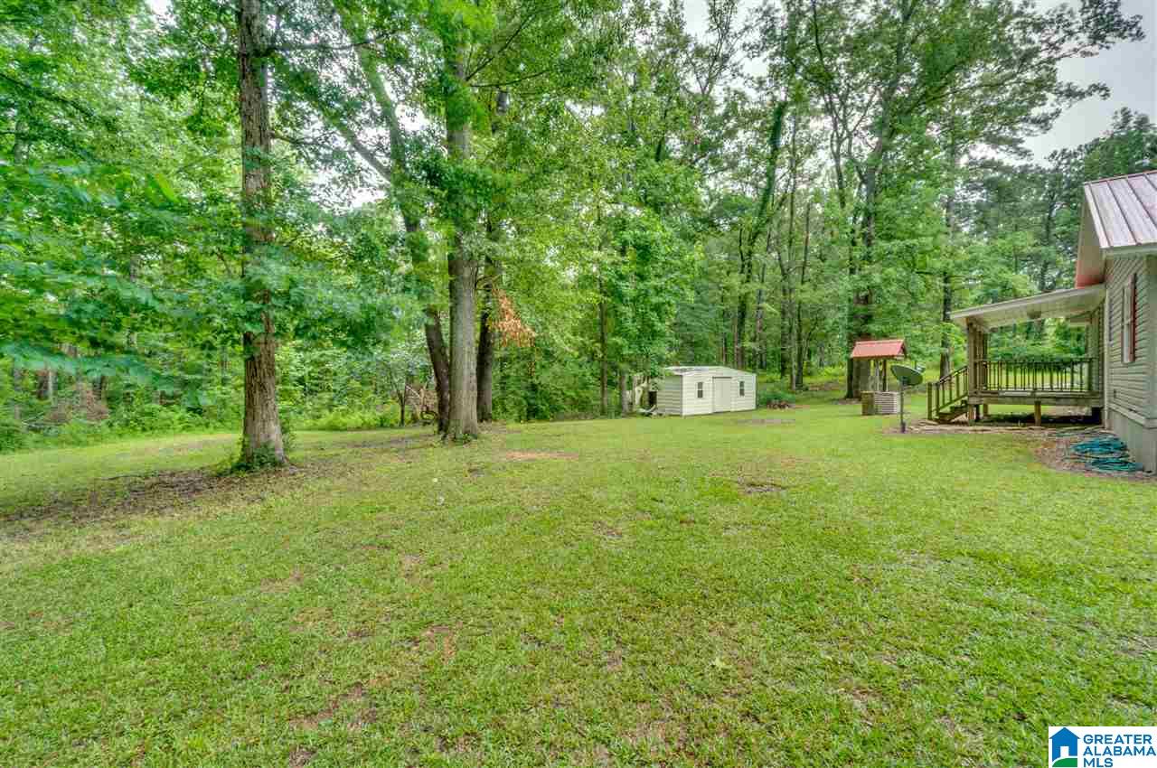2995 County Road 77 Clanton, AL 35045 - Photo 34 of 50