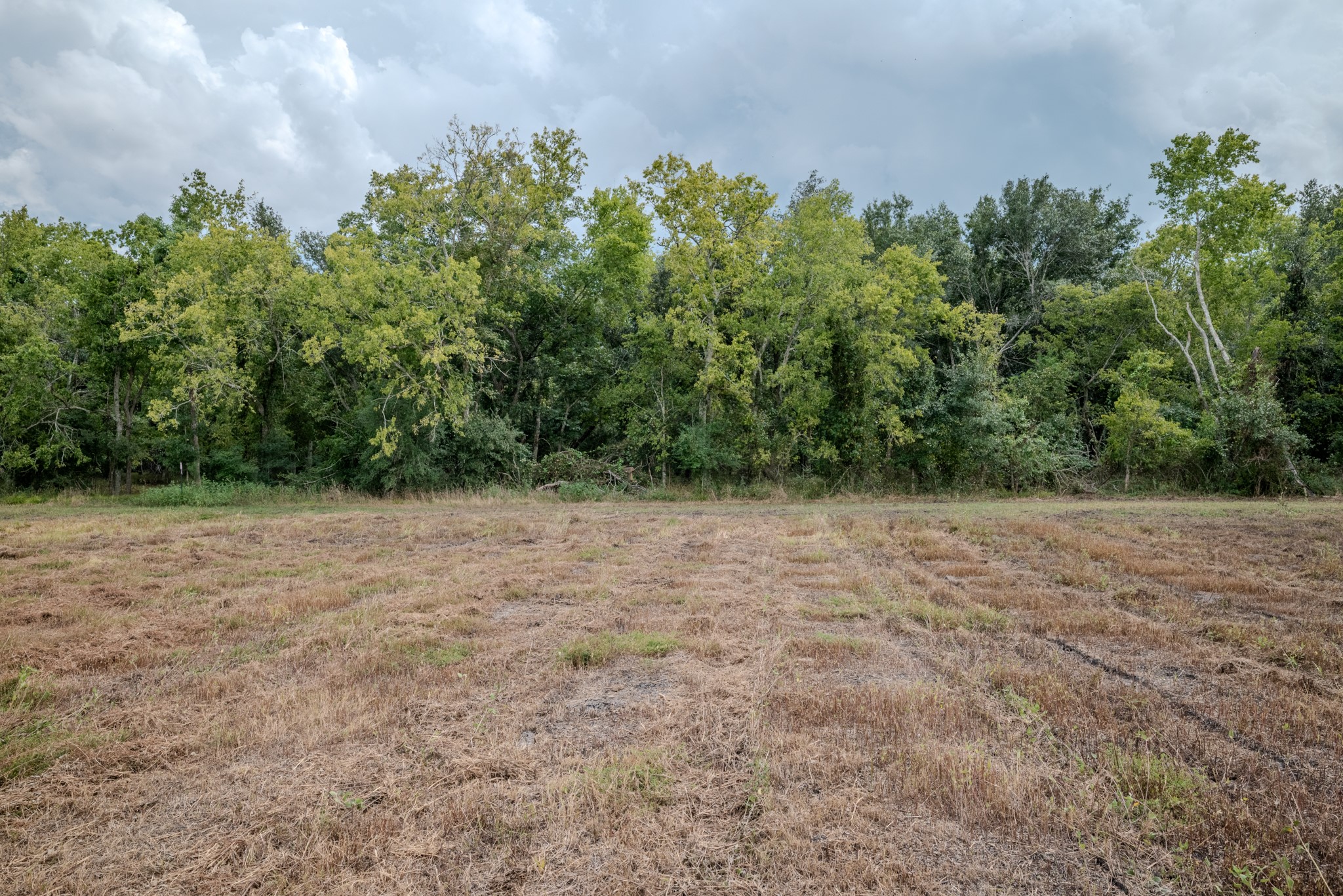 2 Charlie Meyer Road Damon, TX 77430 - Photo 12 of 35 a view of outdoor space and yard