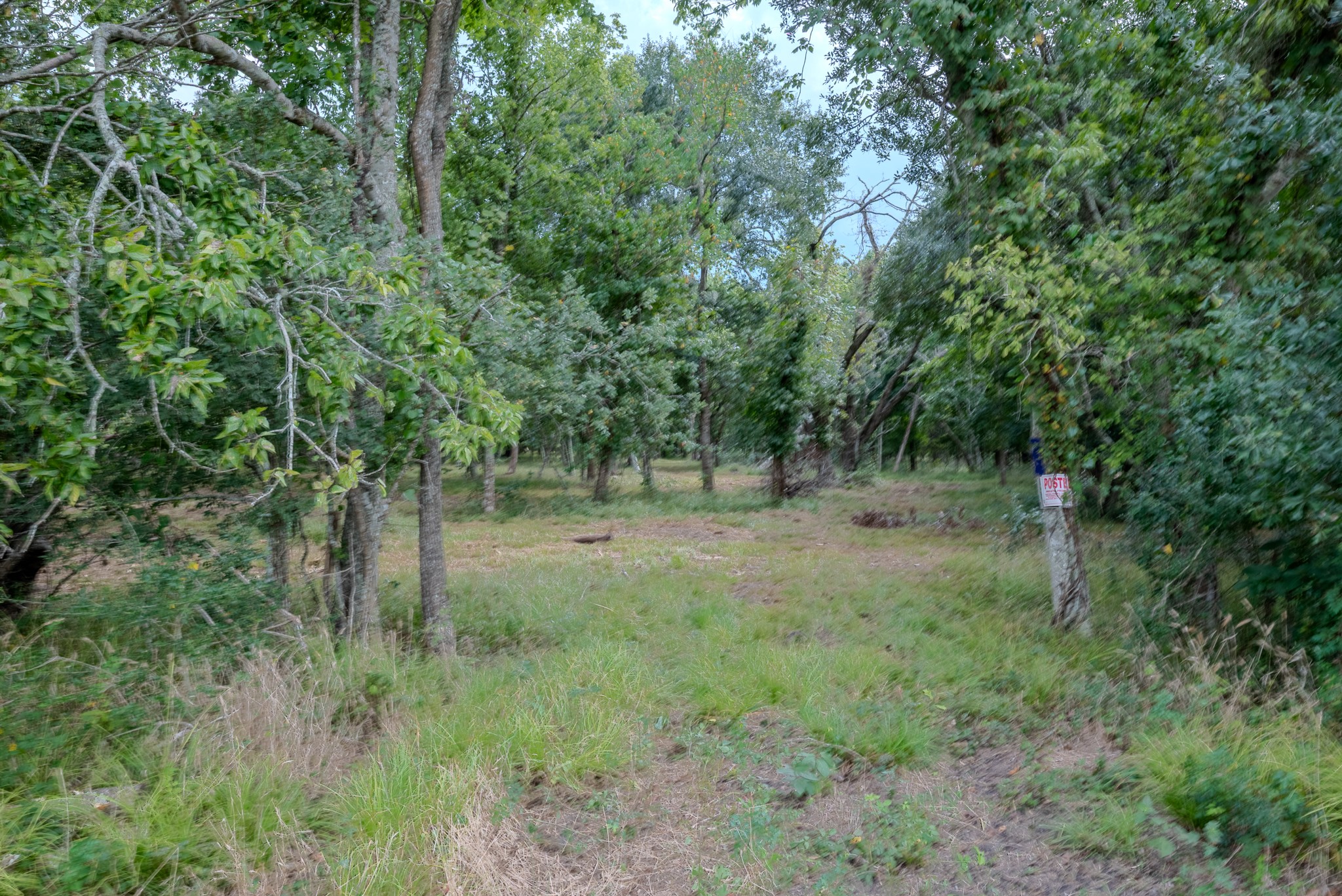 2 Charlie Meyer Road Damon, TX 77430 - Photo 15 of 35 a view of outdoor space and trees
