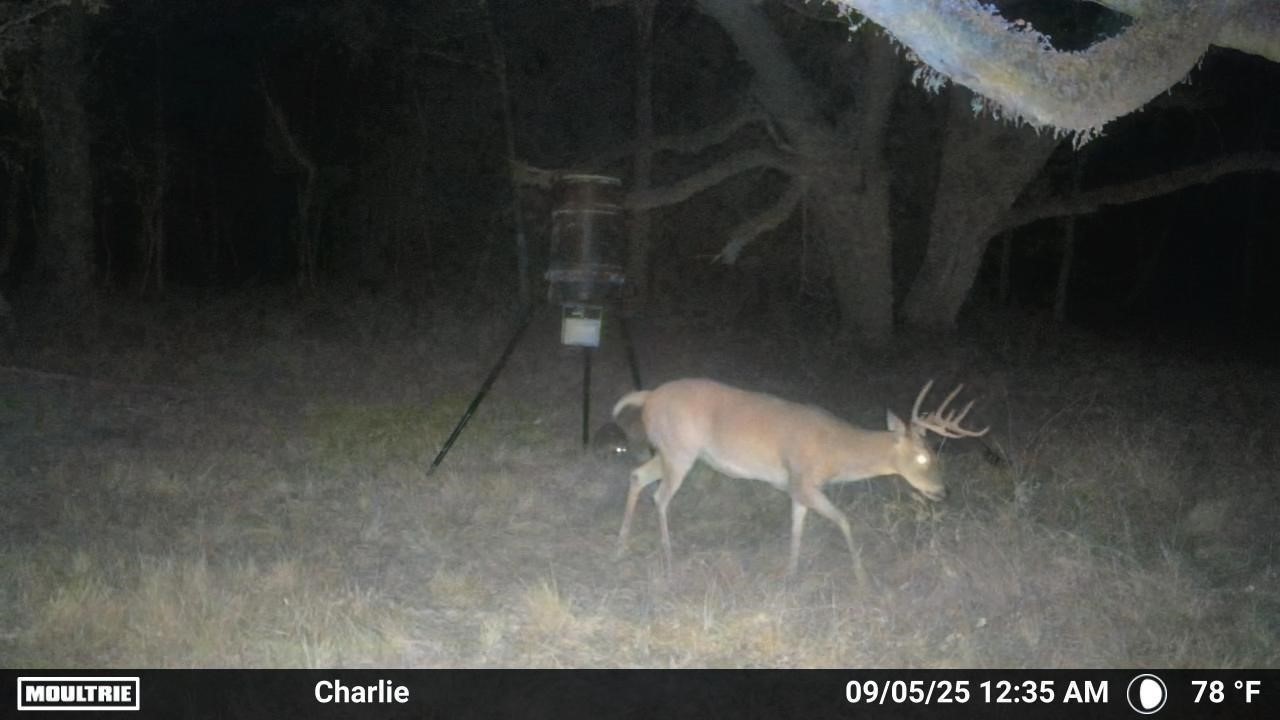 2 Charlie Meyer Road Damon, TX 77430 - Photo 23 of 35