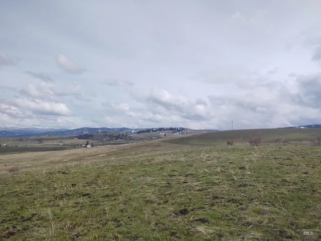 $175,000 | Lot 14 Knox Road, Grangeville, ID 83530