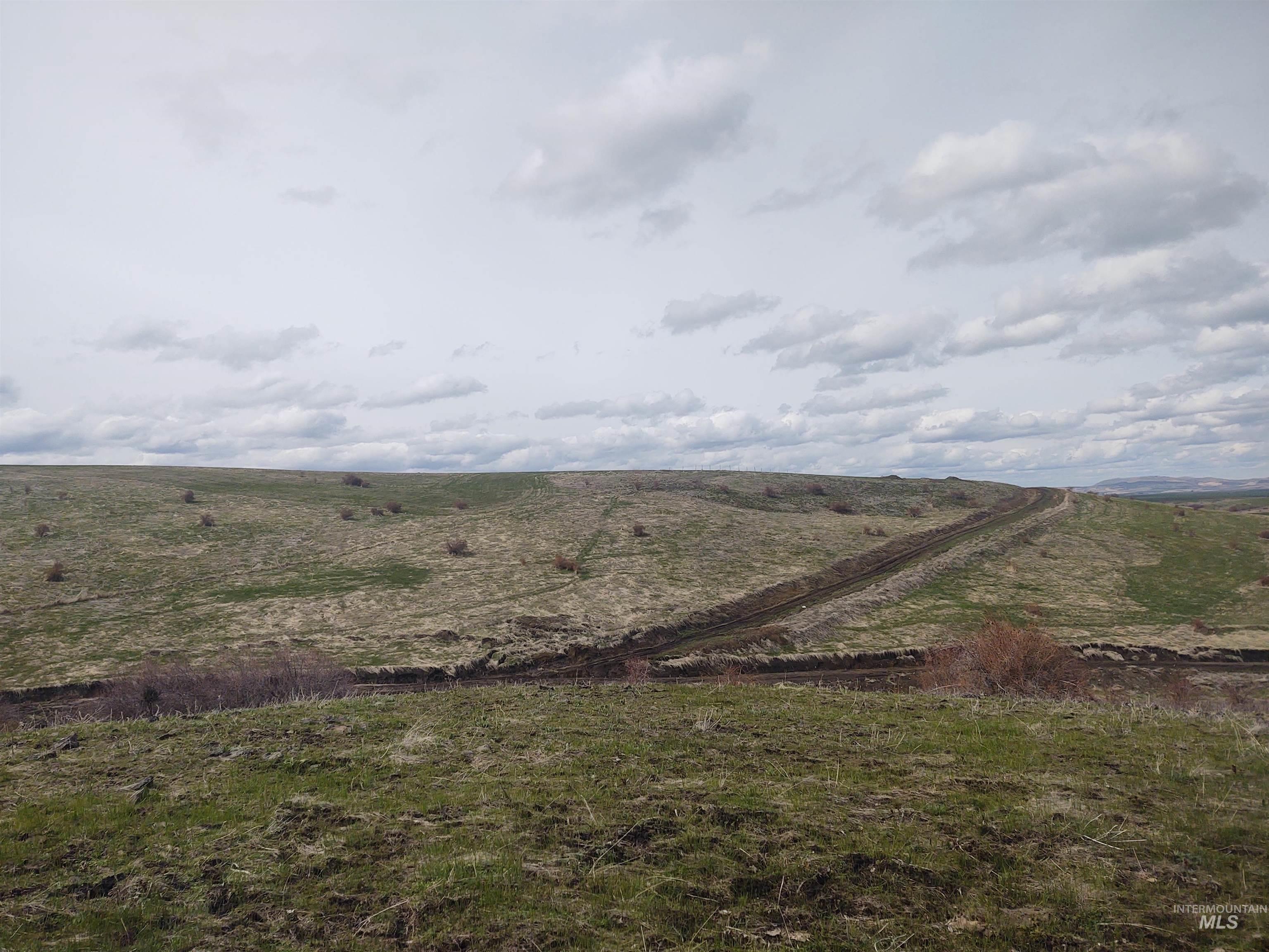 Lot 14 Knox Road Grangeville, ID 83530 - Photo 13 of 13