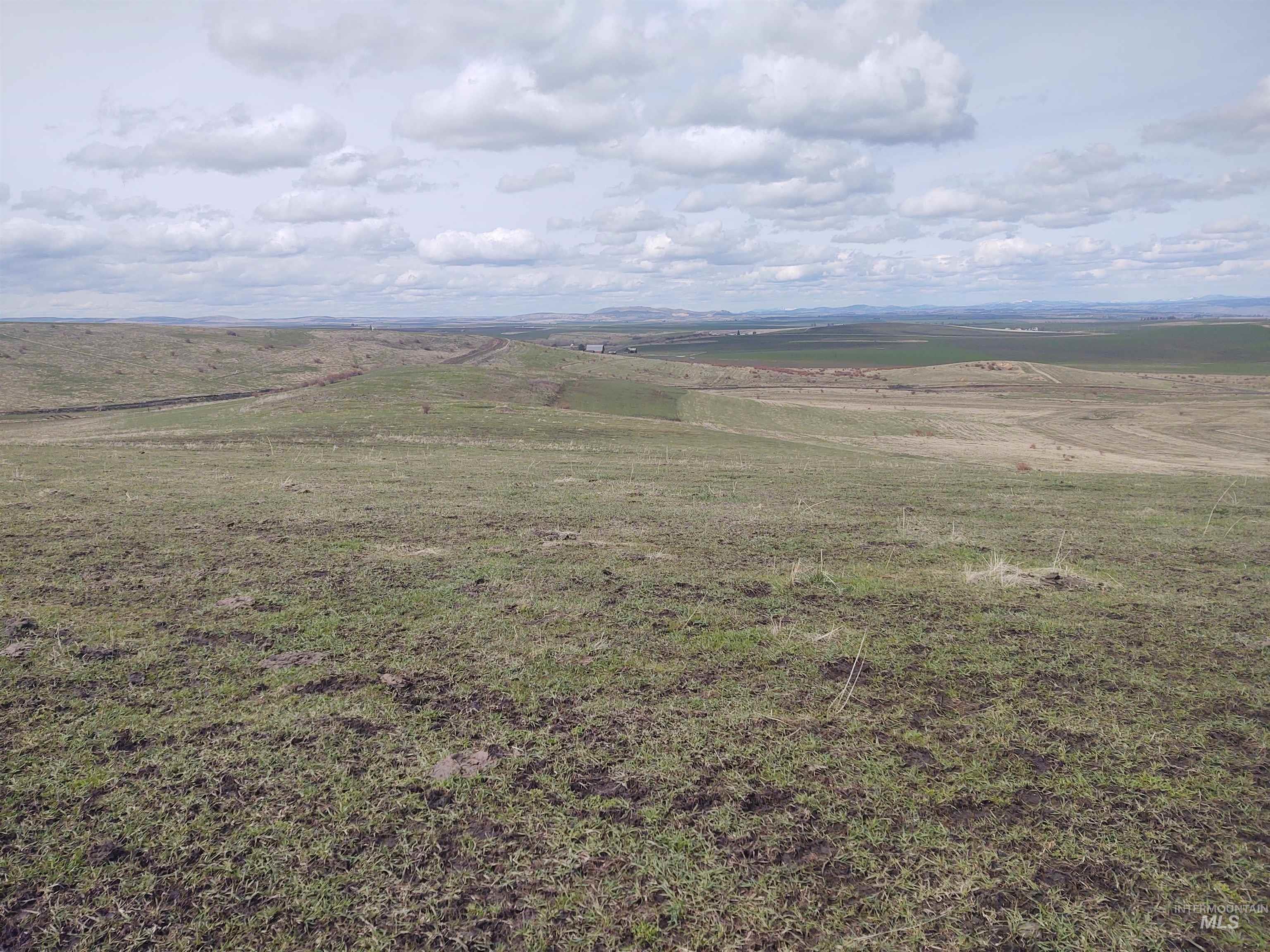 Lot 14 Knox Road Grangeville, ID 83530 - Photo 6 of 13