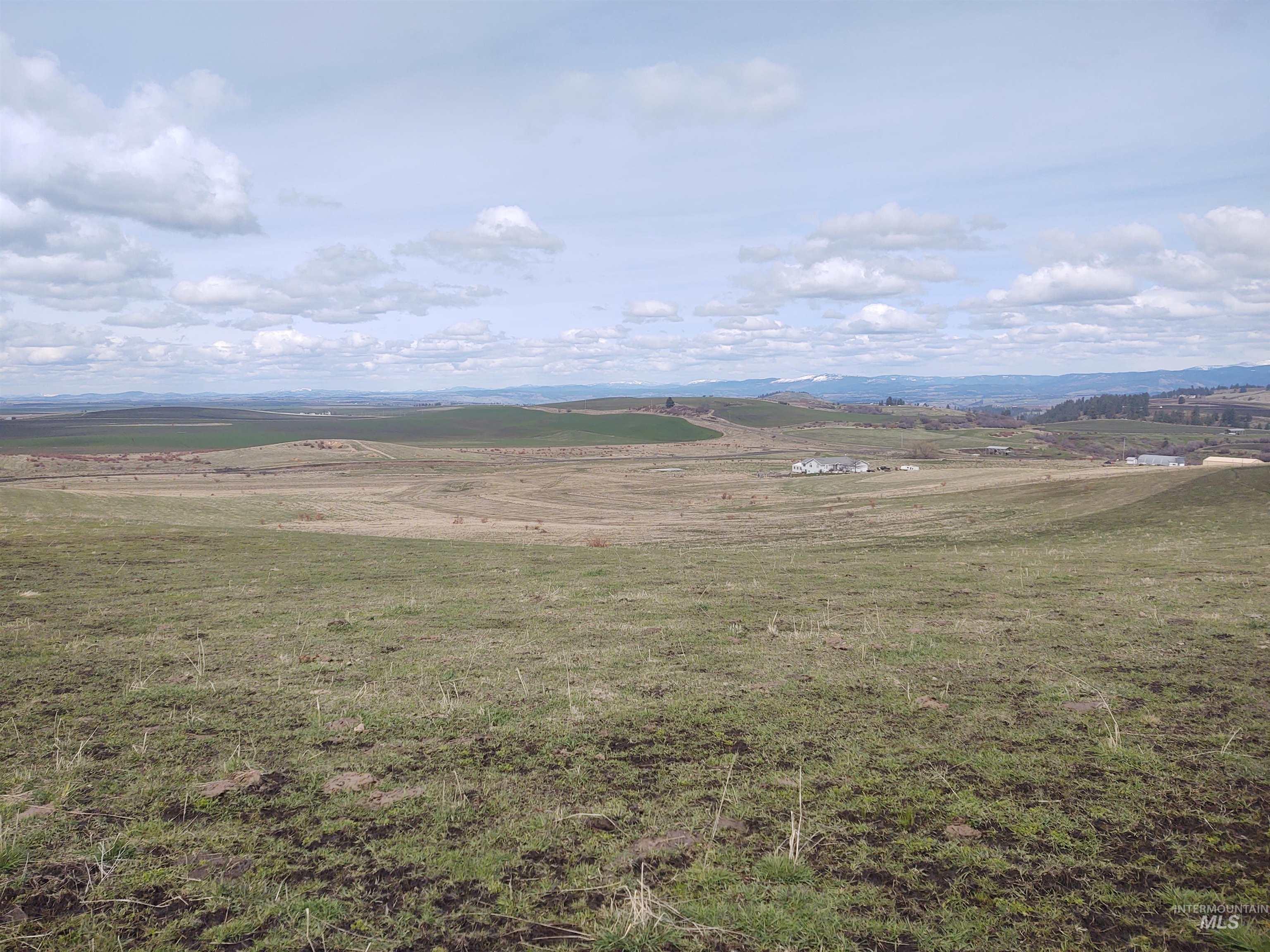 Lot 14 Knox Road Grangeville, ID 83530 - Photo 7 of 13