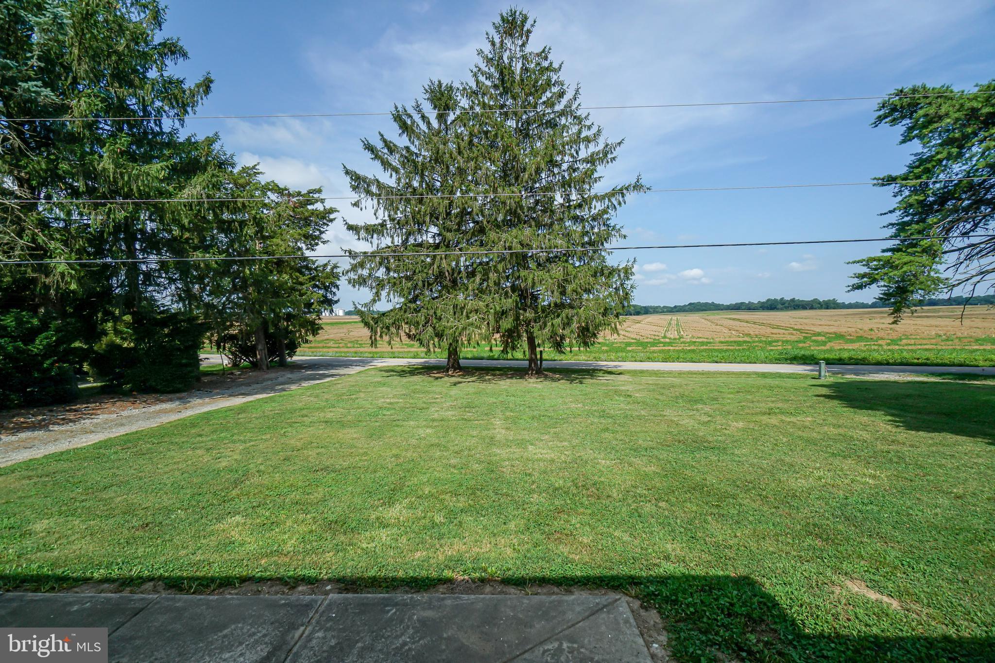36 Christopher Road Warwick, MD 21912 - Photo 21 of 22 Pastoral views from front yard