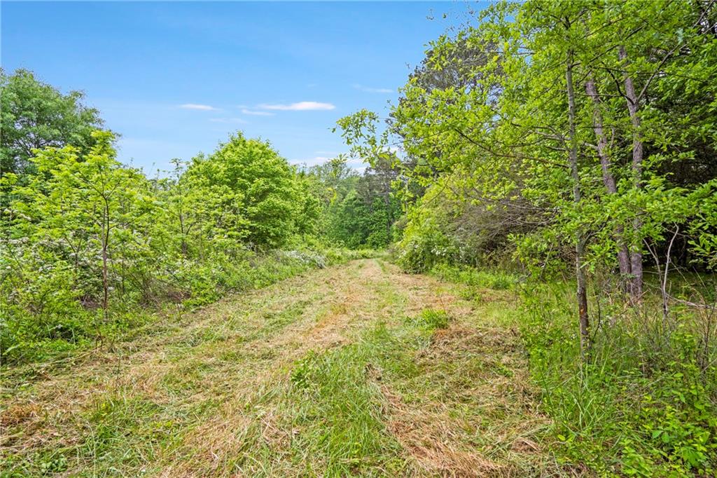 0 Mountain Road Alpharetta, GA 30004 - Photo 12 of 32 a backyard of a house with lots of green space and garden