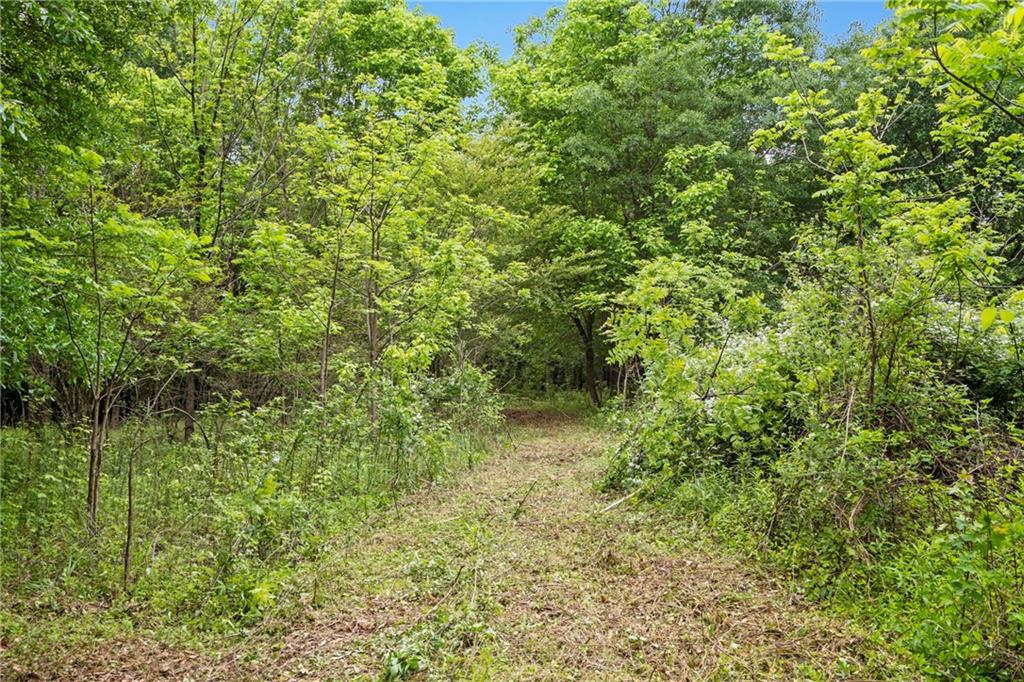 0 Mountain Road Alpharetta, GA 30004 - Photo 14 of 32 a view of a garden