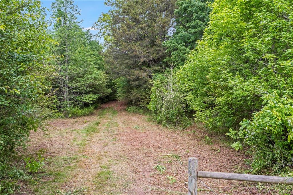 0 Mountain Road Alpharetta, GA 30004 - Photo 4 of 32 a view of a forest with a tree