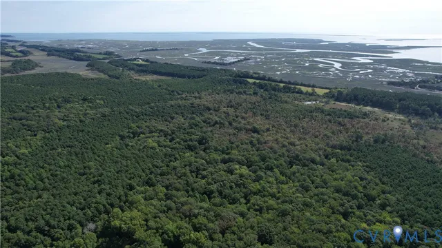 an aerial view of residential houses with outdoor space and trees