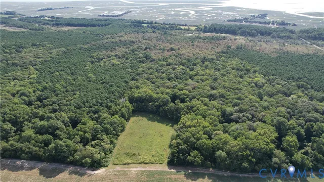 a view of a pathway both side of a yard