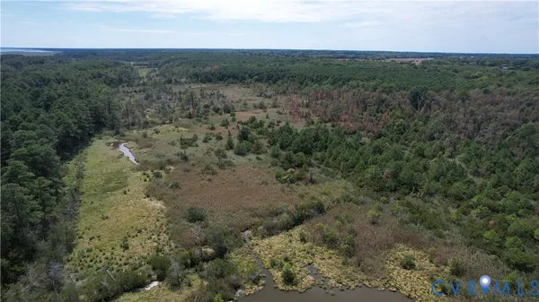 a view of a field with trees in background