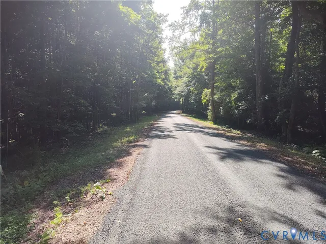 a view of a yard with trees in the background