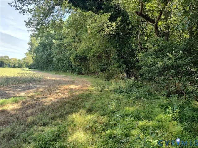 a view of an ocean and beach