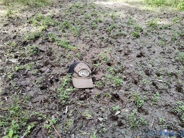 a view of a back yard