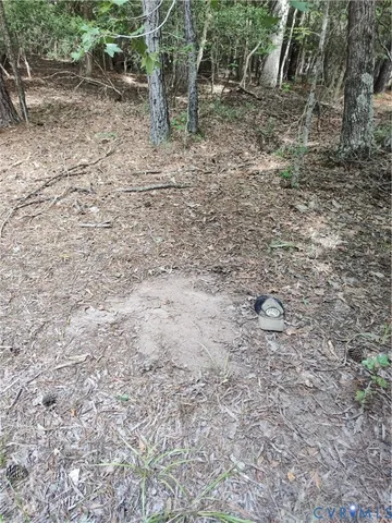 a view of outdoor space and a yard