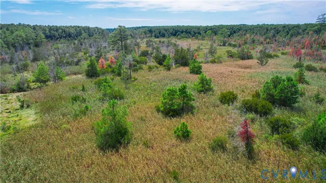 a view of a lush green forest with a lake and mountain view