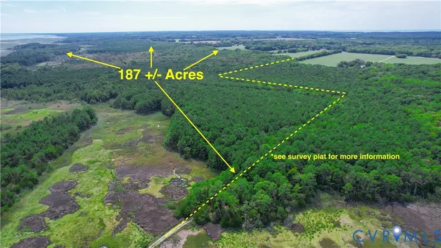 a view of a field with an ocean