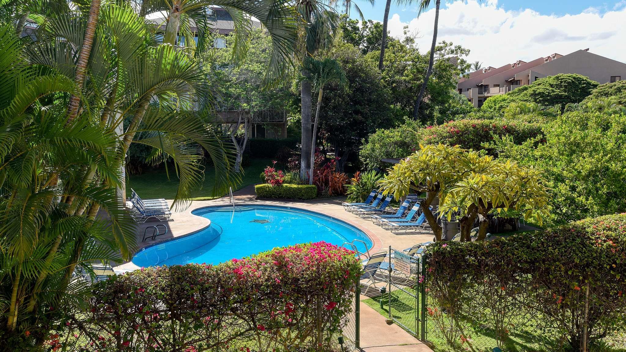 2619 South Kihei Road, Unit 309A Kihei, HI 96753 - Photo 23 of 41 a view of a backyard with swimming pool