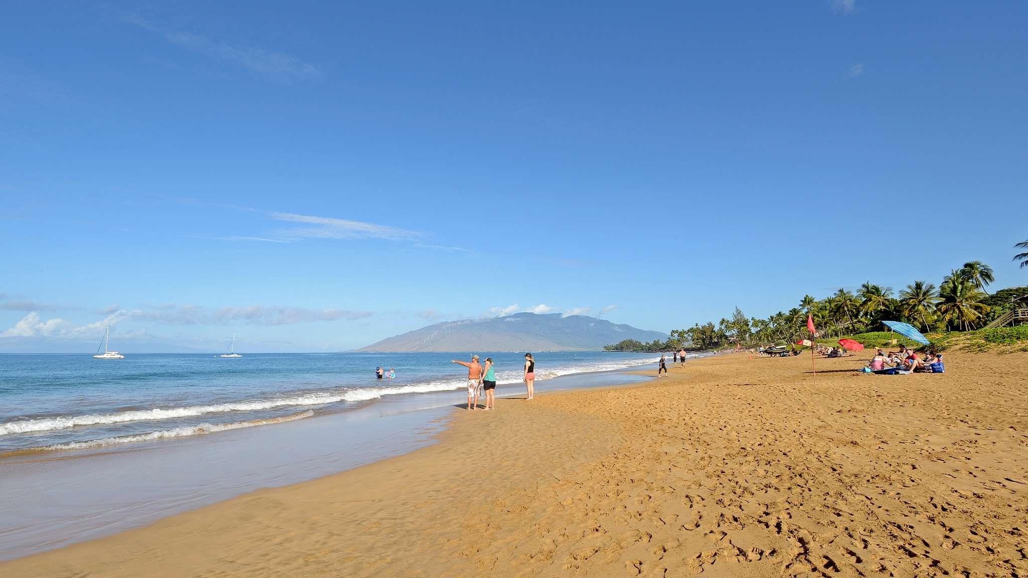 2619 South Kihei Road, Unit 309A Kihei, HI 96753 - Photo 30 of 41