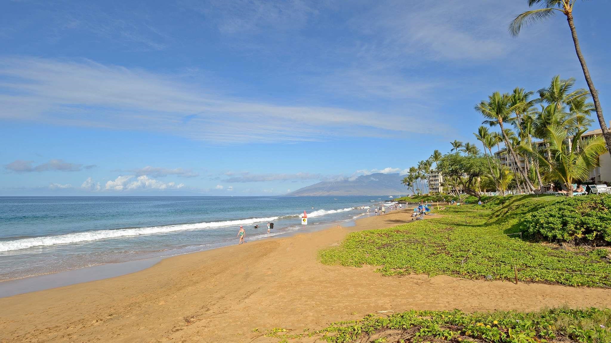 2619 South Kihei Road, Unit 309A Kihei, HI 96753 - Photo 31 of 41 a view of an ocean and a yard