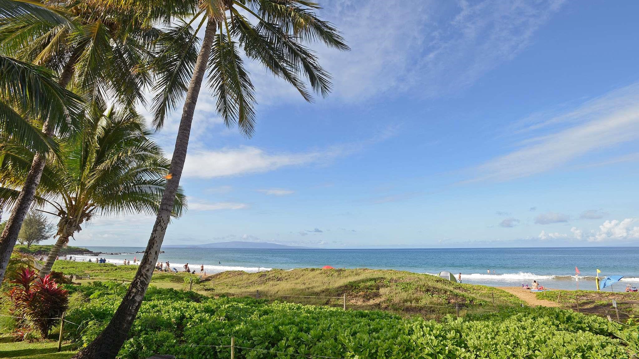 2619 South Kihei Road, Unit 309A Kihei, HI 96753 - Photo 32 of 41 a view of lake from a yard