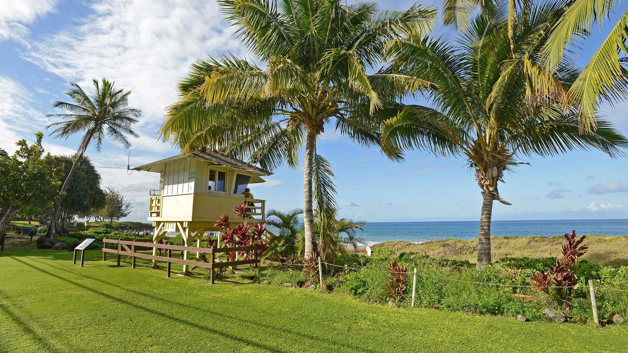 2619 South Kihei Road, Unit 309A Kihei, HI 96753 - Photo 36 of 41 a view of a palm trees in front of a house