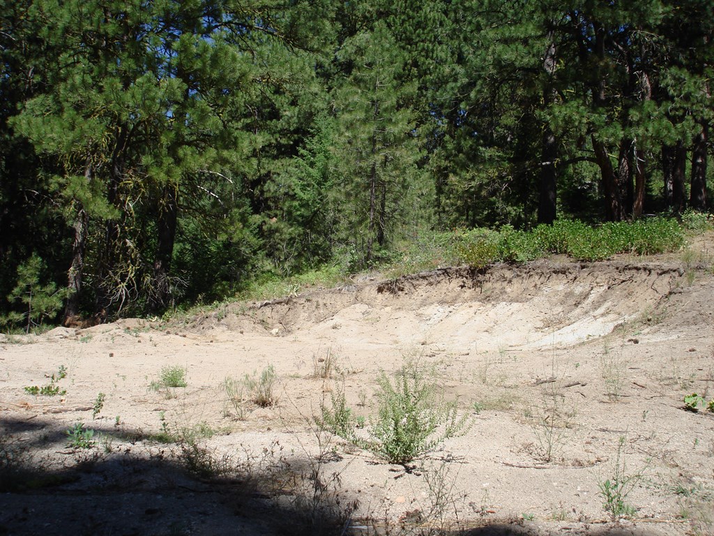 464 Collier View Road, Unit 91 Cascade, ID 83611 - Photo 8 of 25 Gallery Image 8