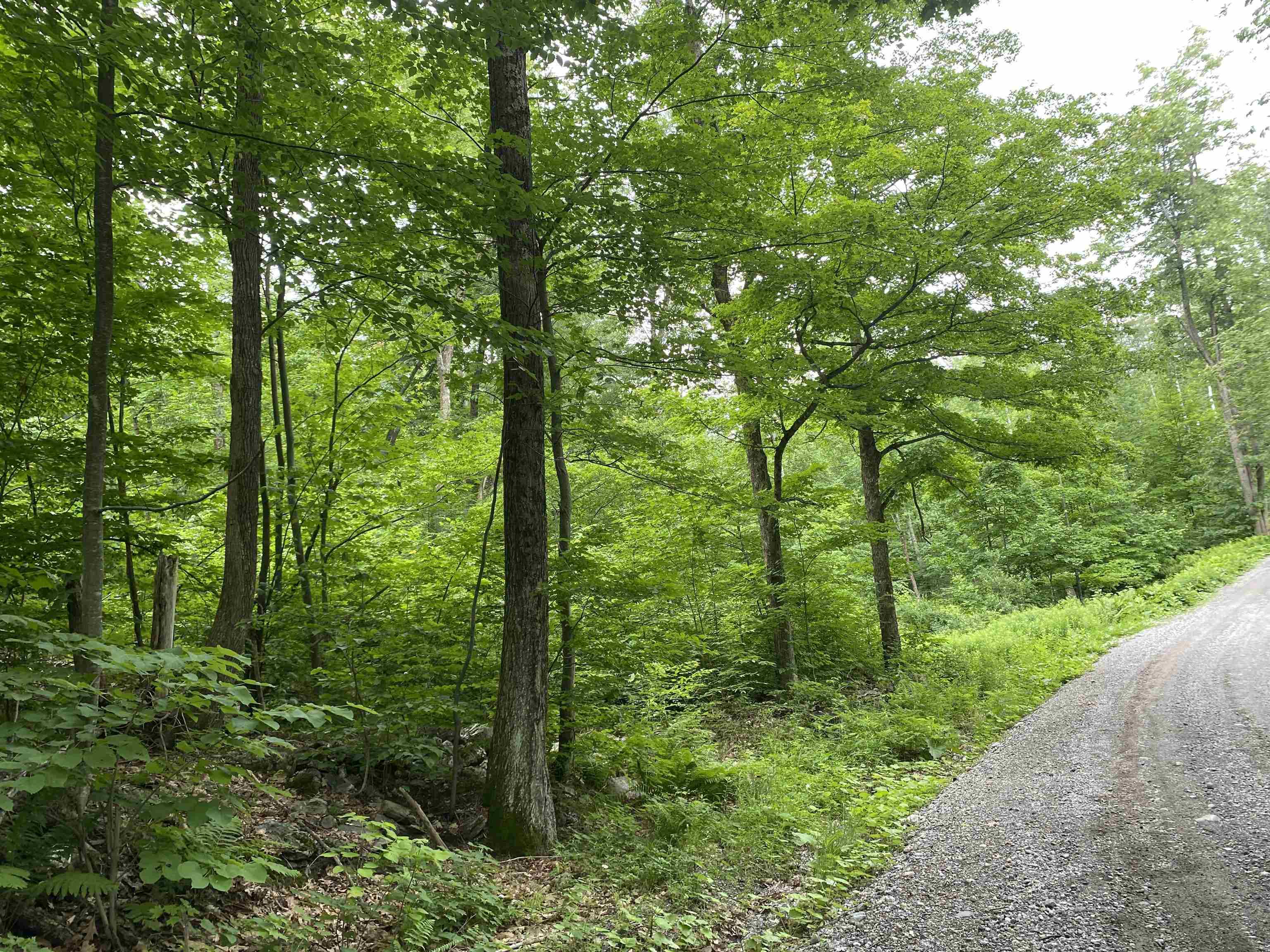 1 Ballard Farm Road Wells, VT 05774 - Photo 1 of 5 Gallery Image 1