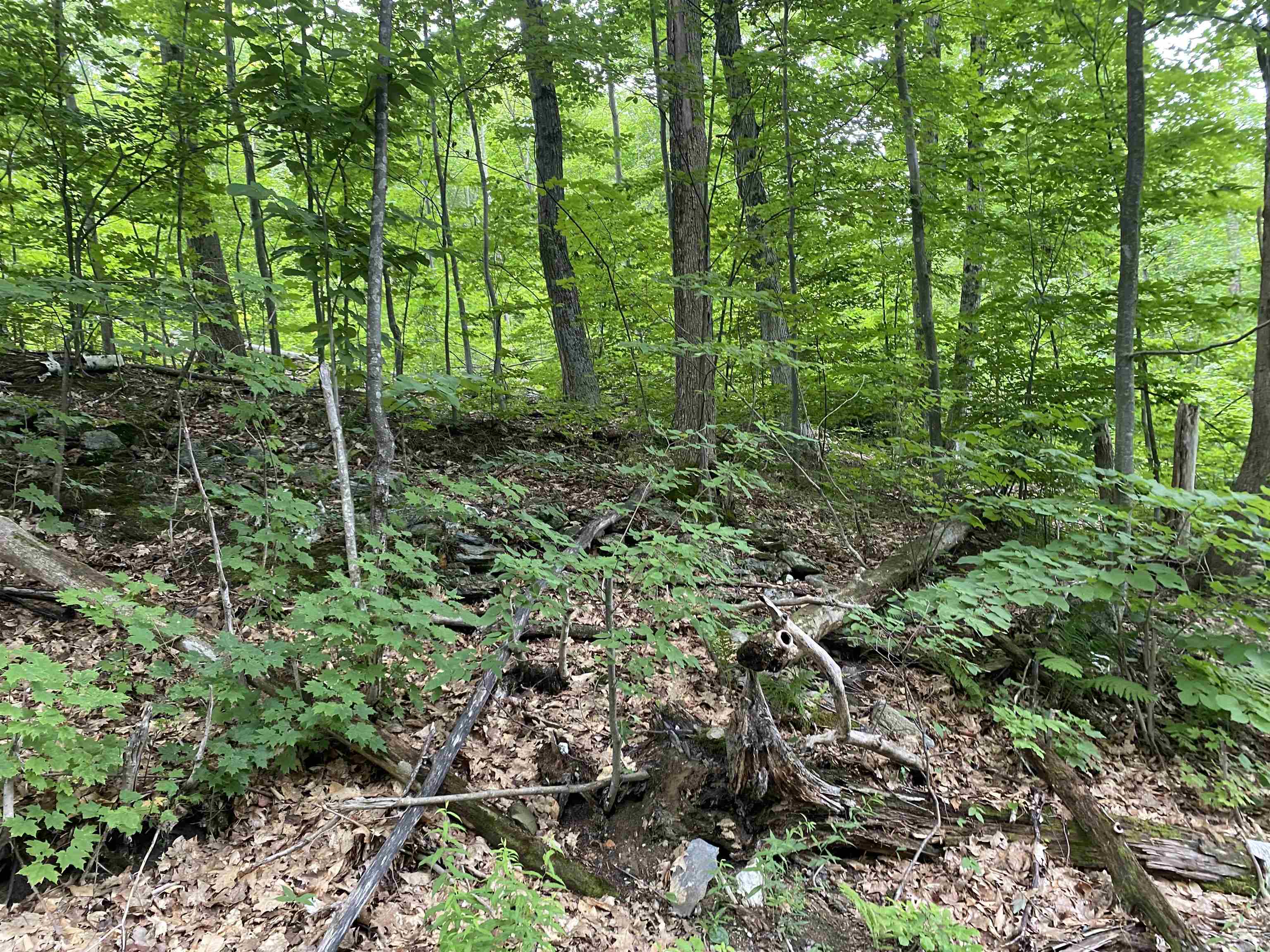 1 Ballard Farm Road Wells, VT 05774 - Photo 4 of 5 Gallery Image 4