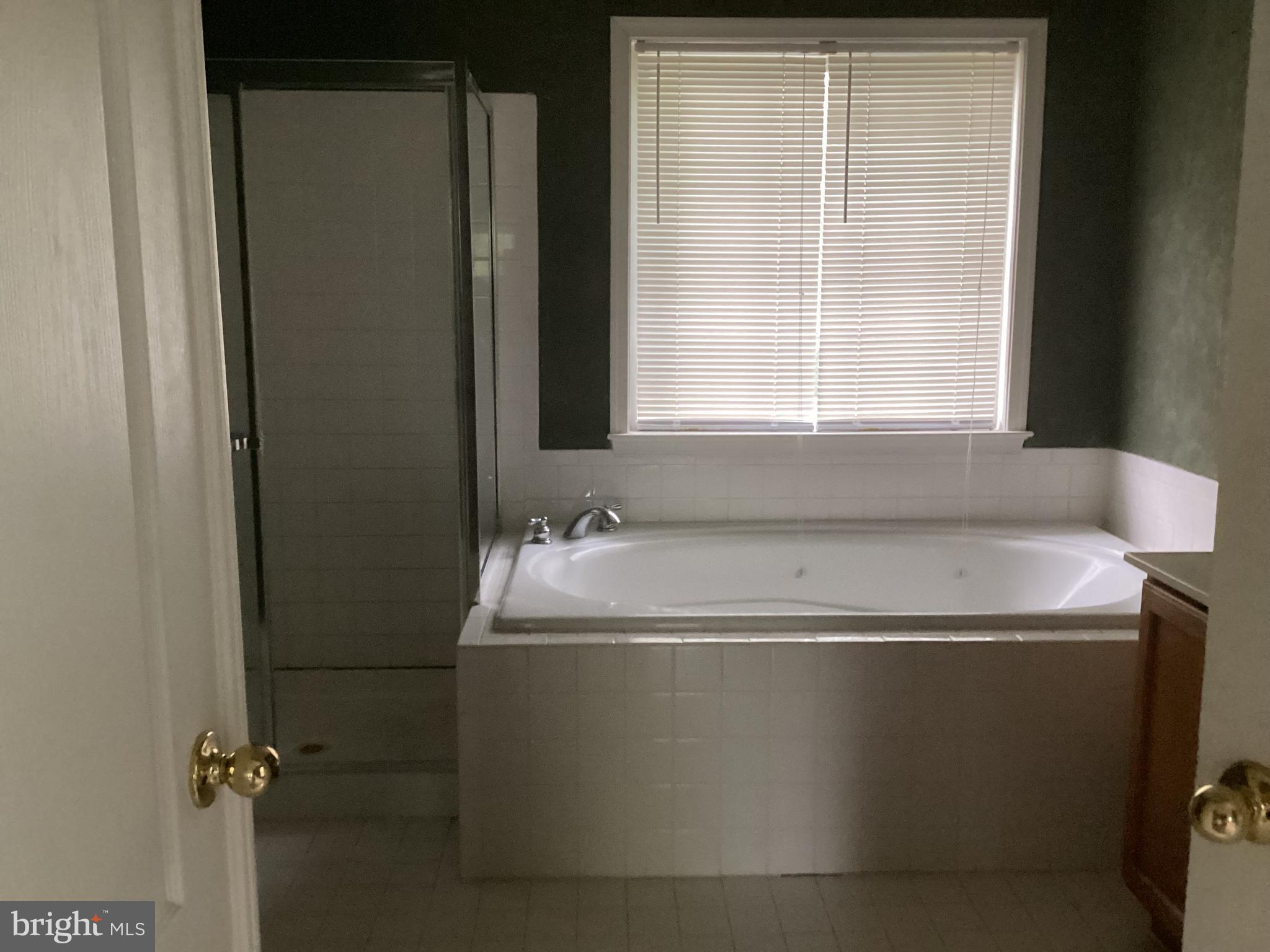 8207 Rison Drive Brandywine, MD 20613 - Photo 31 of 31 a bathroom with a bathtub