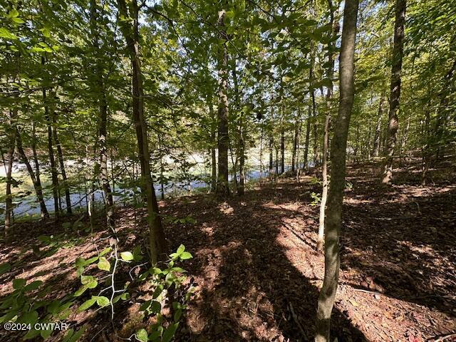 0 Chalk Hill Church Road Camden, TN 38320 - Photo 28 of 58 IMG_3465