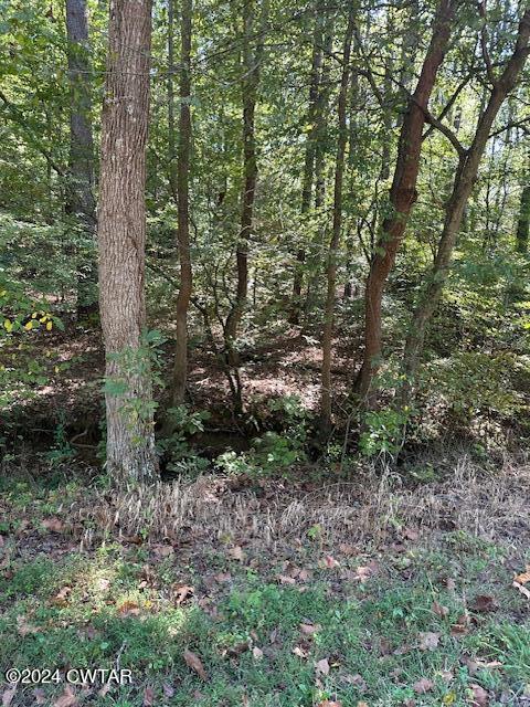 0 Chalk Hill Church Road Camden, TN 38320 - Photo 38 of 58 IMG_3475