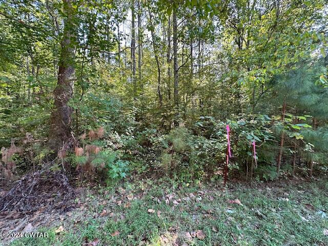 0 Chalk Hill Church Road Camden, TN 38320 - Photo 40 of 58 IMG_3477