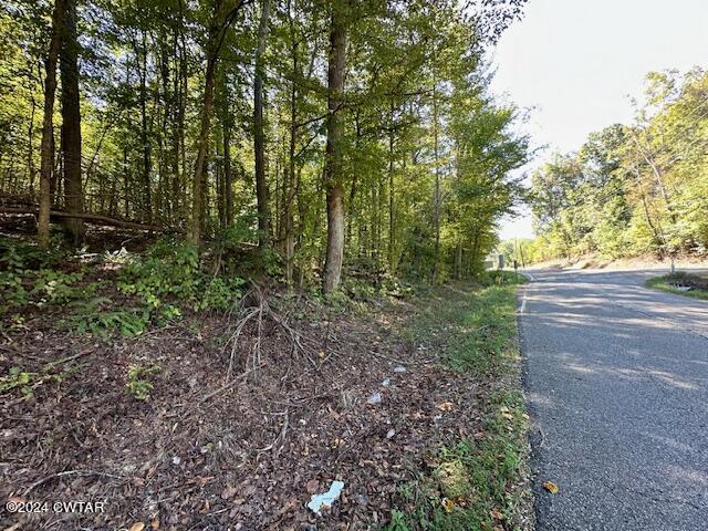 0 Chalk Hill Church Road Camden, TN 38320 - Photo 57 of 58 IMG_3494