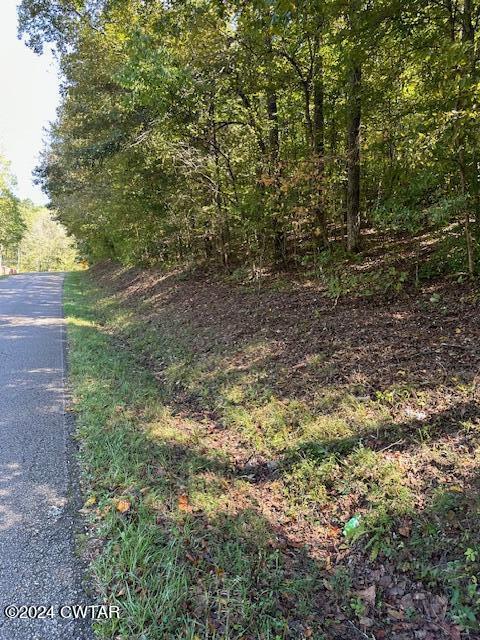0 Chalk Hill Church Road Camden, TN 38320 - Photo 10 of 58 IMG_3447