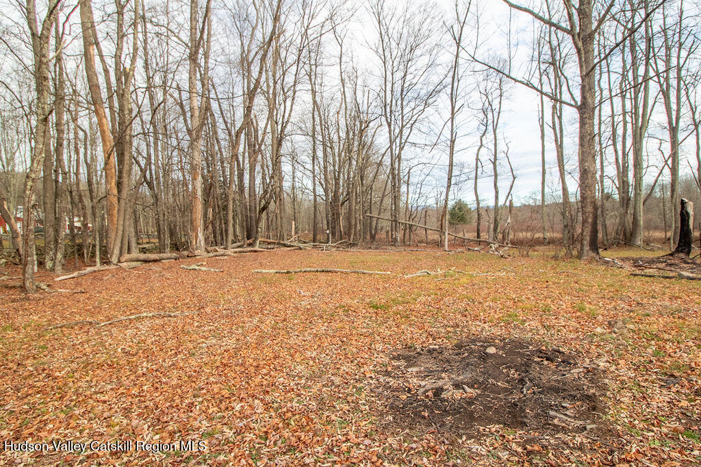 1732 Ulster Heights Road Ellenville, NY 12428 - Photo 12 of 40 a view of open space with trees