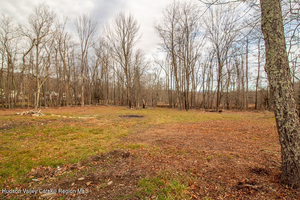 1732 Ulster Heights Road Ellenville, NY 12428 - Photo 7 of 40 a view of yard covered with trees
