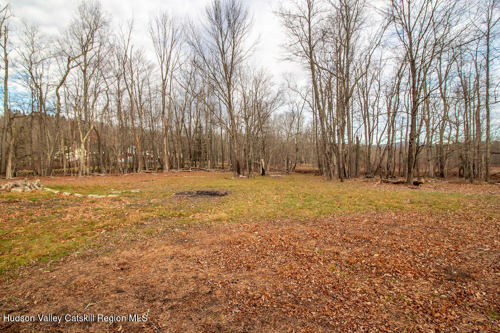 1732 Ulster Heights Road Ellenville, NY 12428 - Photo 8 of 40 a backyard of house with trees