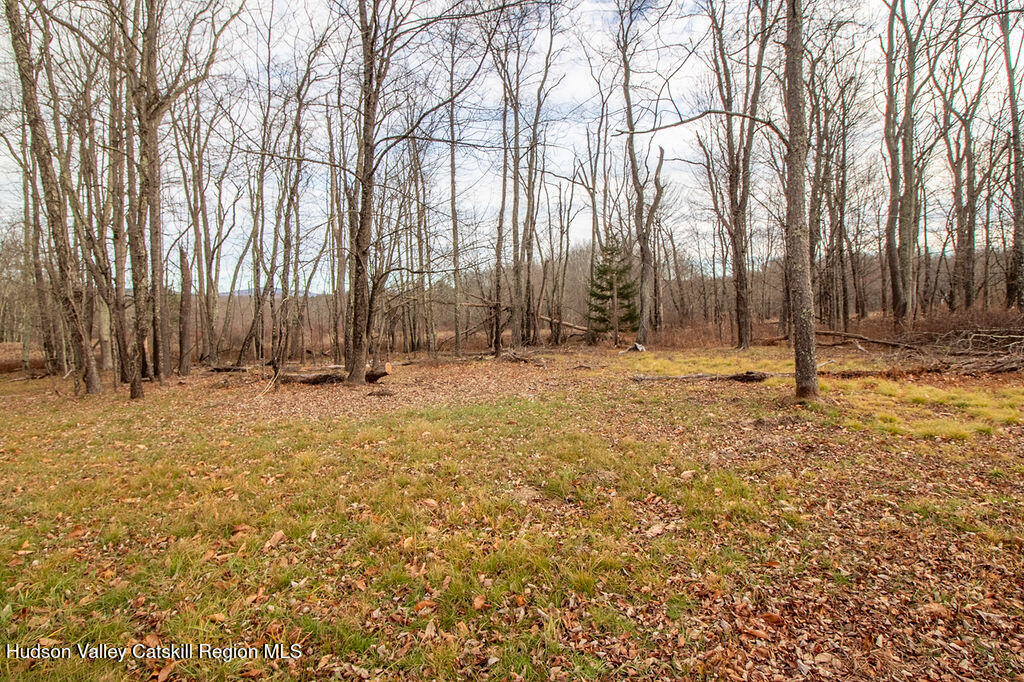 1732 Ulster Heights Road Ellenville, NY 12428 - Photo 9 of 40 a view of outdoor space with trees