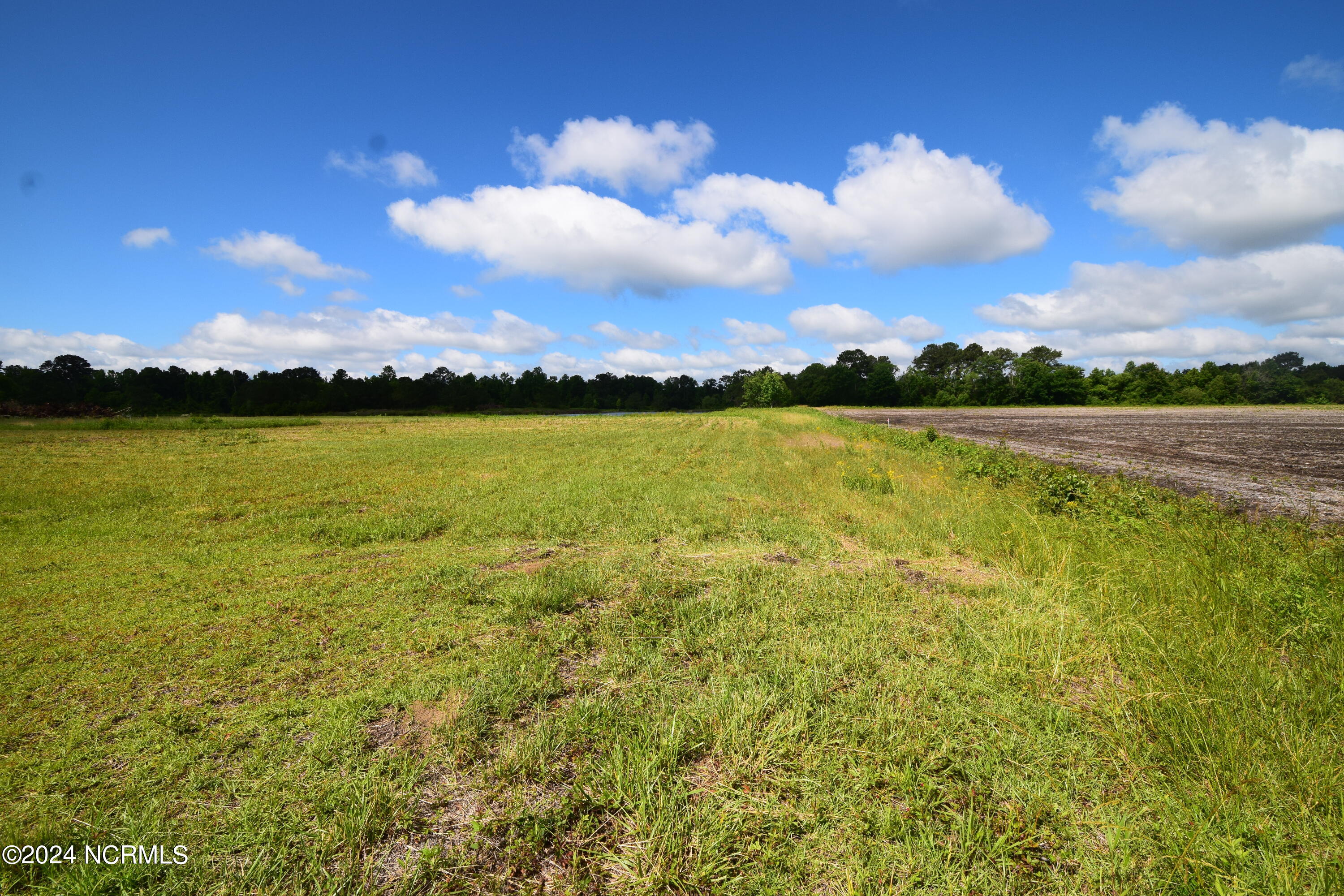 0 Branch Canal Road New Bern, NC 28560 - Photo 3 of 23 3