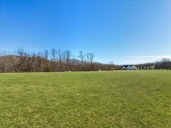 a view of a field with an ocean