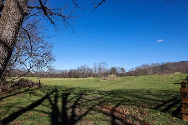 a view of a field with an trees in the background